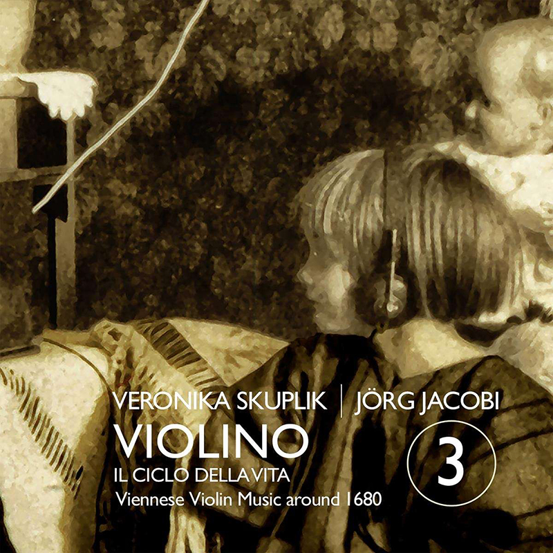 violino